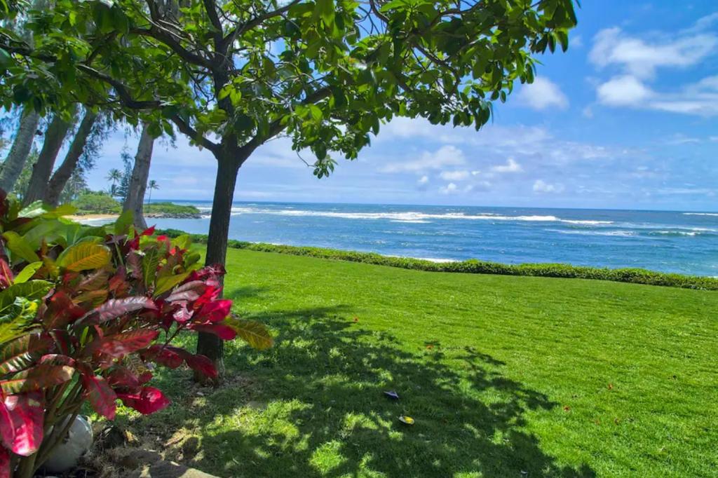 a green lawn with a tree and the ocean at Condos in Kapa'a Sands in Kapaa