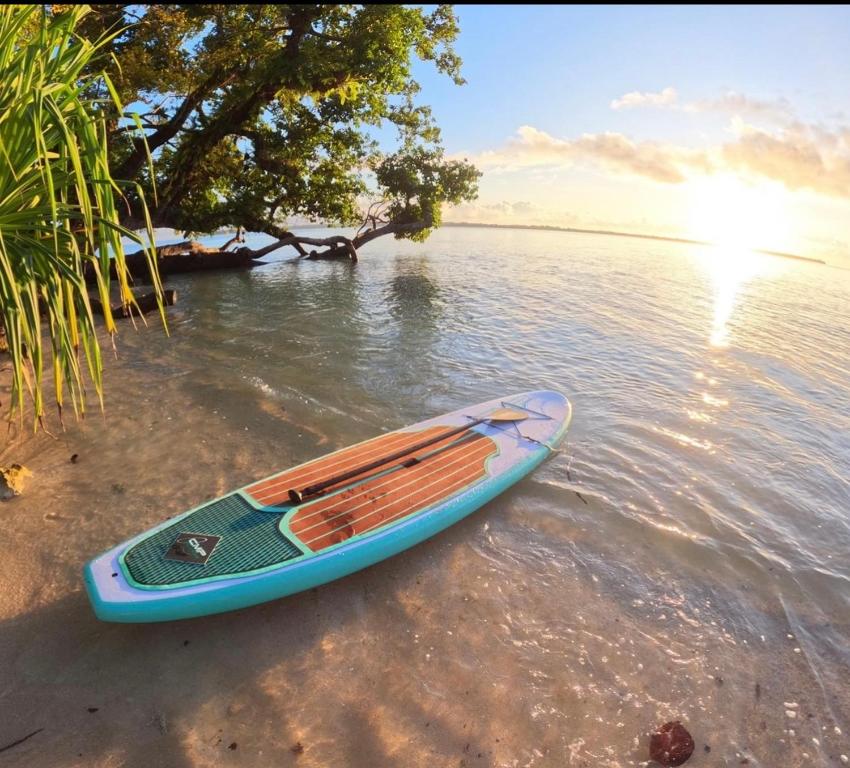 una tabla de surf de remo sentada en el agua en una playa en Lope Lope Beach Bungalows, en Luganville