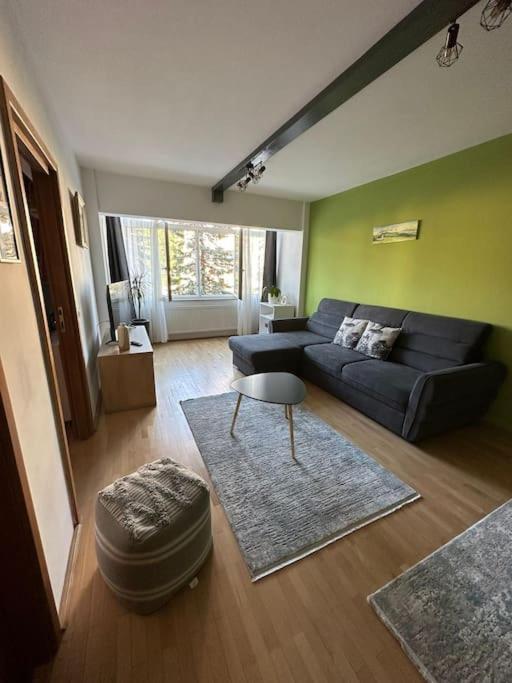 a living room with a blue couch and a table at Apartament de lux, zona centrala in Gura Humorului