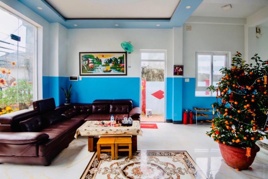 a living room with a couch and a christmas tree at Thanh Tran Guesthouse Lý Sơn in Ly Son