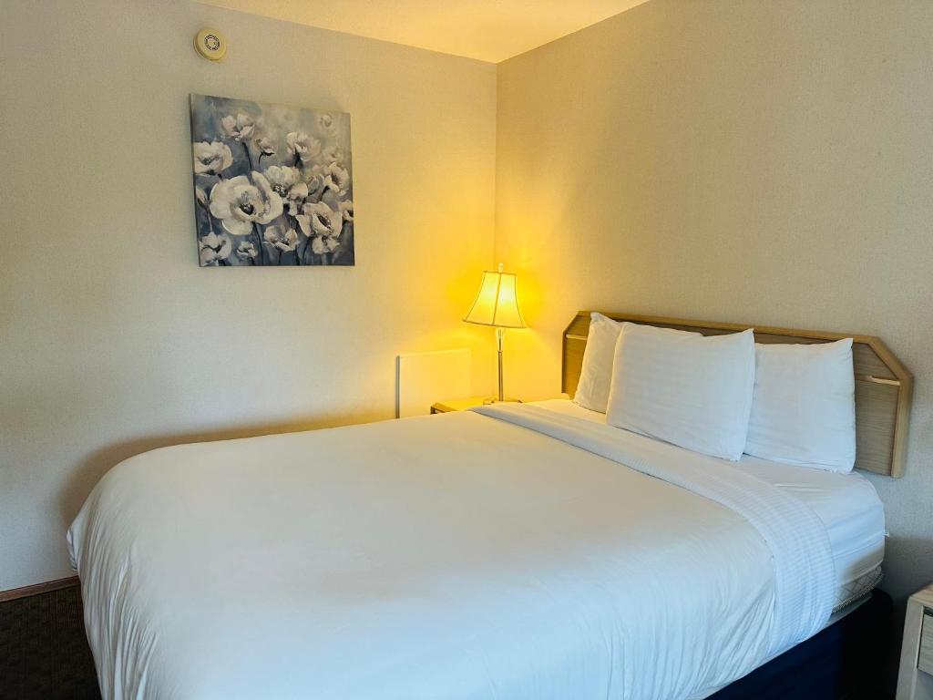 Postel nebo postele na pokoji v ubytování Timberland Inn & Suites