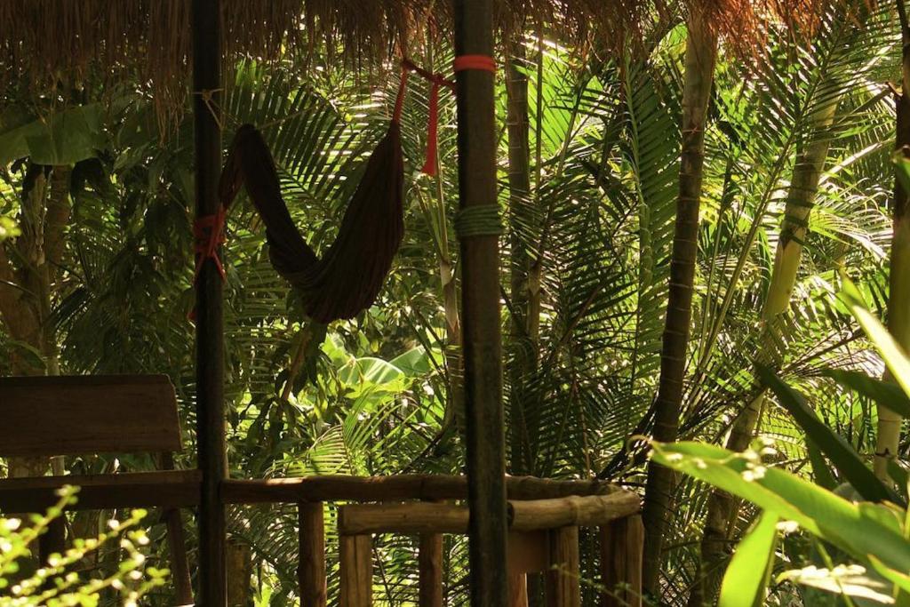 Zahrada ubytování Oasis Koh Chang