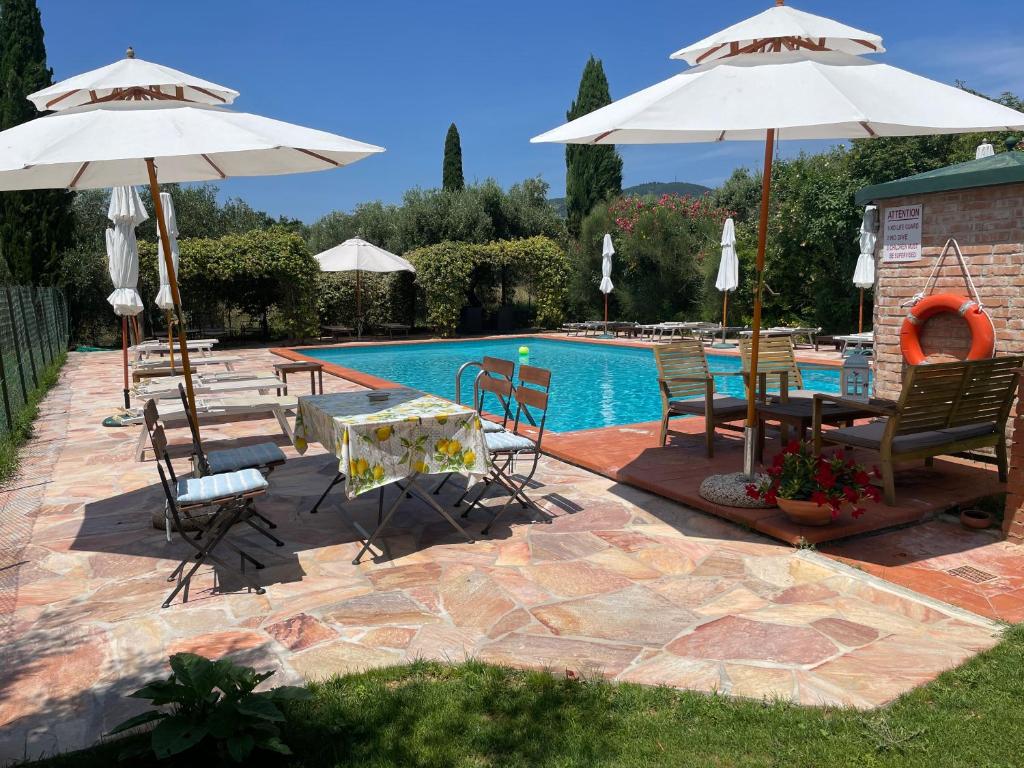 Bazén v ubytování Agriturismo Podere Marchiano nebo v jeho okolí
