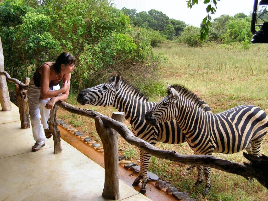 una mujer está mirando a dos cebras en Leopard Walk Lodge, en Hluhluwe