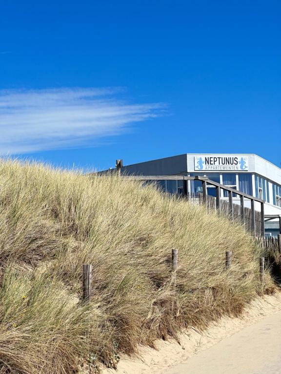 un edificio en la cima de una playa con césped alto en Neptunus Appartementen en Bergen aan Zee