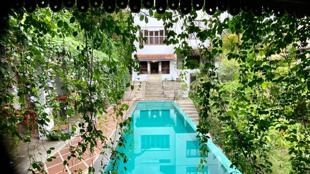 an overhead view of a swimming pool with plants at GODDESS Kandy in Kandy