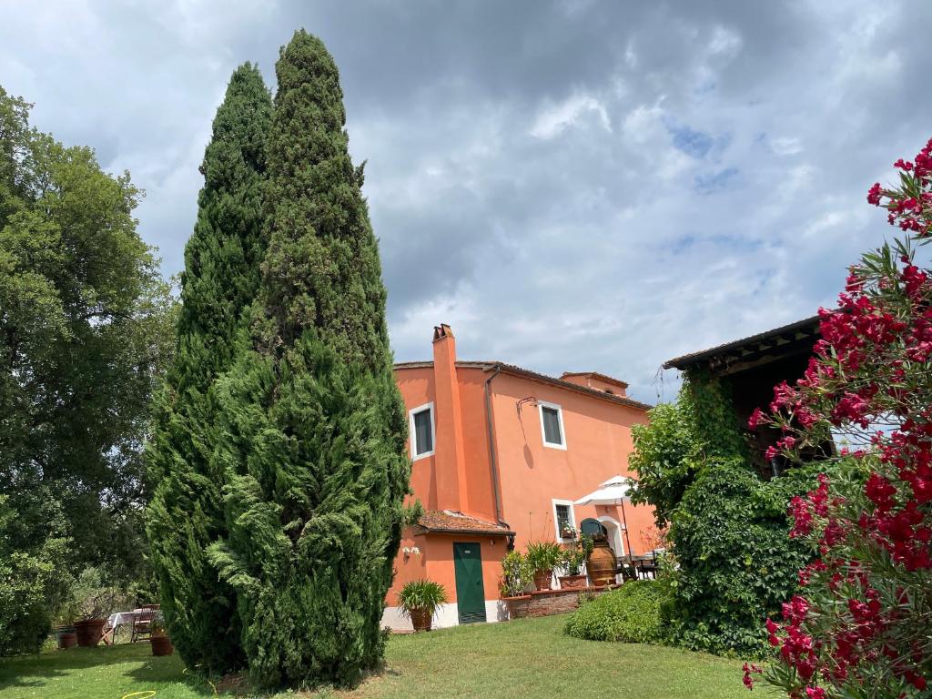 Zahrada ubytování Agriturismo Podere Marchiano