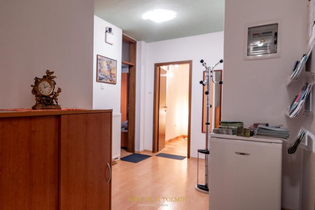Kuchyň nebo kuchyňský kout v ubytování Guesthouse Sobe Silva