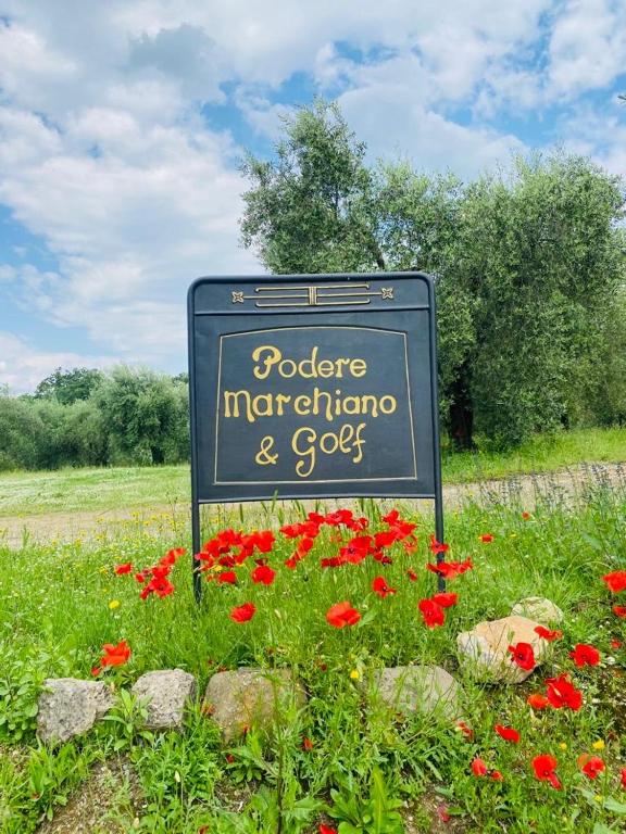 Zahrada ubytování Agriturismo Podere Marchiano
