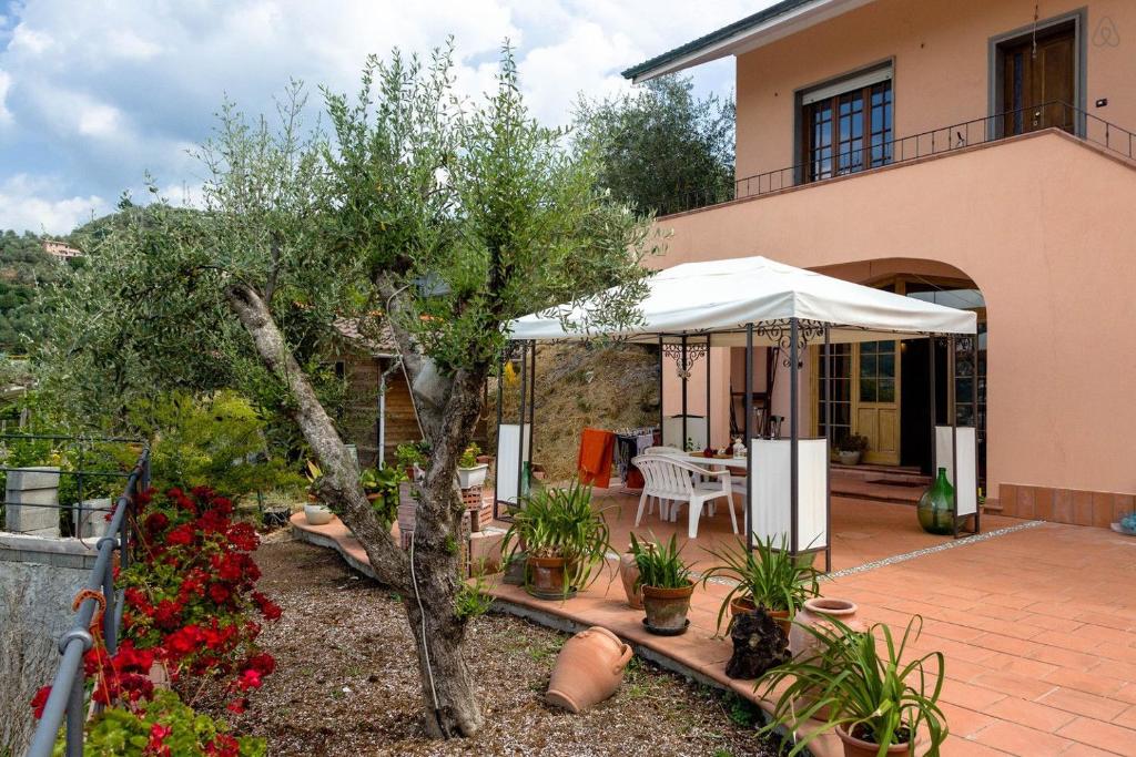 una casa con un patio con un árbol y una sombrilla blanca en Room in Villa - Hillside room with garden and sea view, en San Salvatore