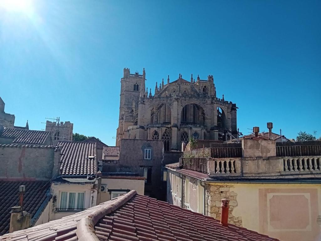 une vue sur une cathédrale depuis les toits des bâtiments dans l'établissement Studio terrasse vue cathédrale, à Narbonne
