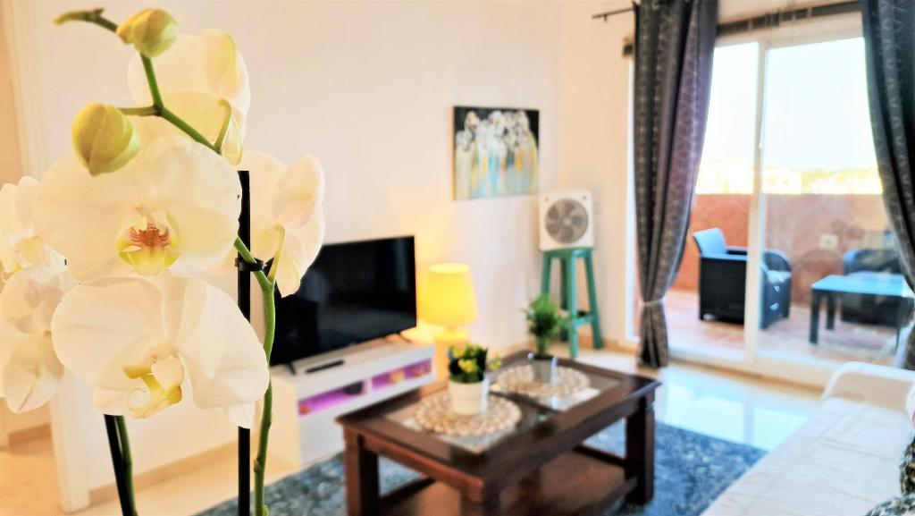 View of Book Eco Eden at Restination Apartments-where every stay ... - TikTok