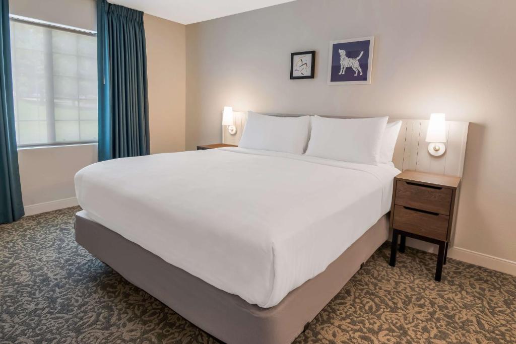 Sonesta ES Suites Andover Boston photo