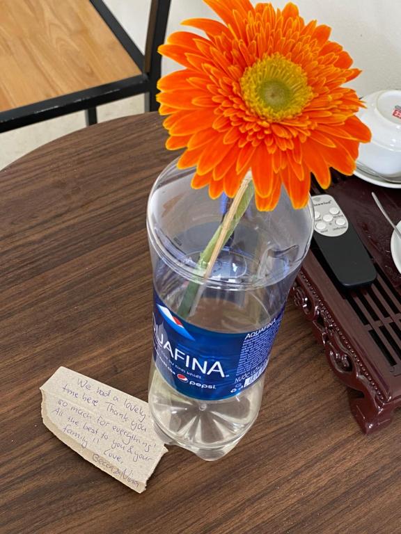 Tam Coc Elegance House - 4