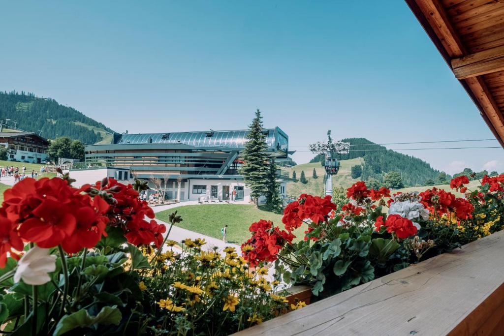 Nespecifikovaný výhled na hory nebo výhled na hory při pohledu z hotelu