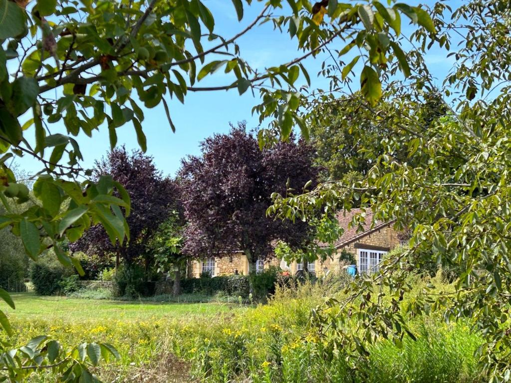 una casa en un campo con árboles en el fondo en Gîte La Bergerie, en Le Buisson de Cadouin