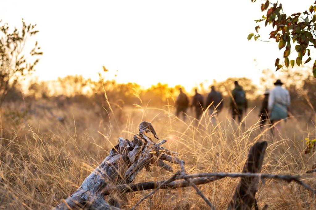 an old fence in a field of tall grass at Simbavati Trails Camp in Timbavati Game Reserve