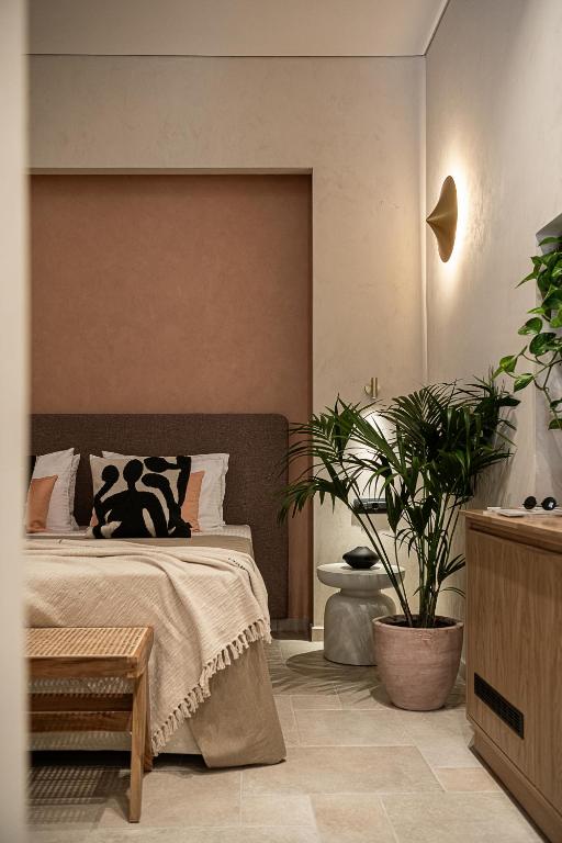 Casa Modiano Boutique - 17