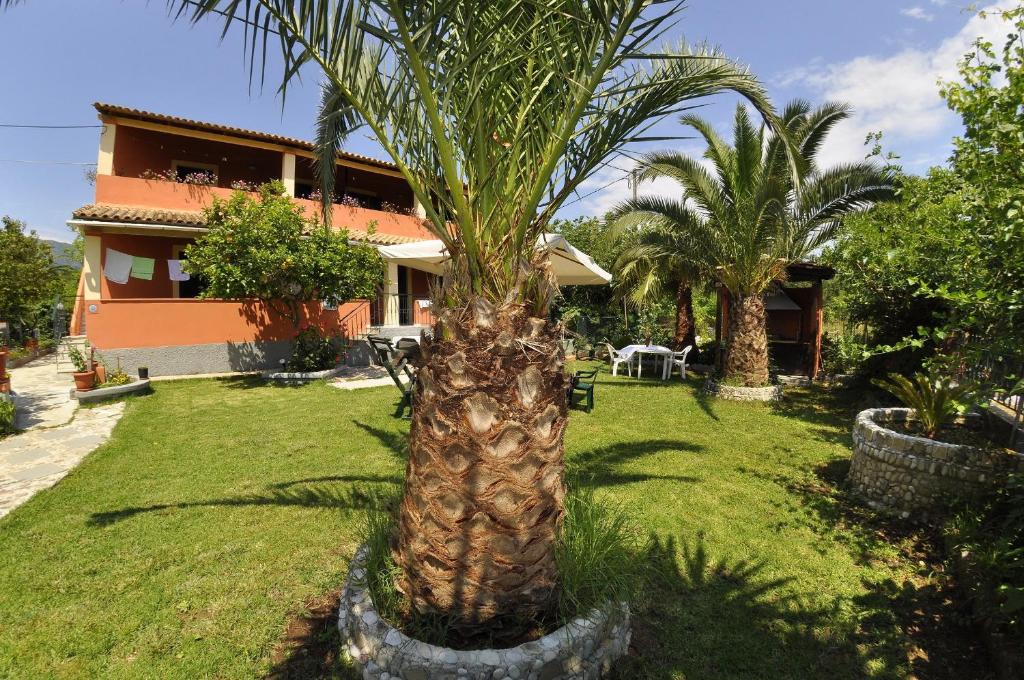 a palm tree in a yard in front of a house at Villa Toula in Dassia