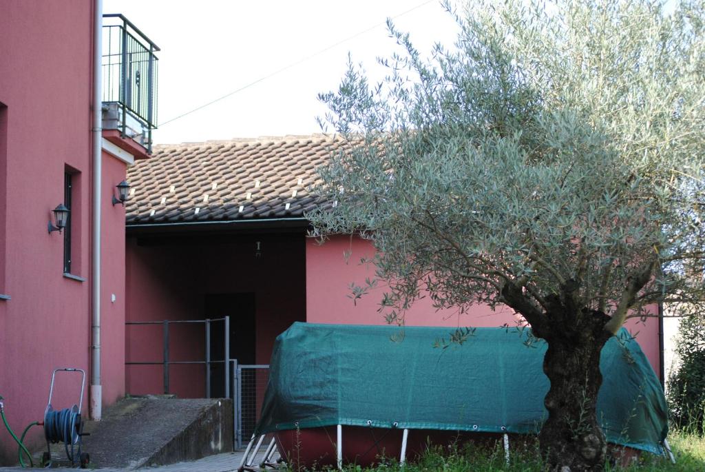 a house with a tree in front of a building at B&B Cloè in Pregassona