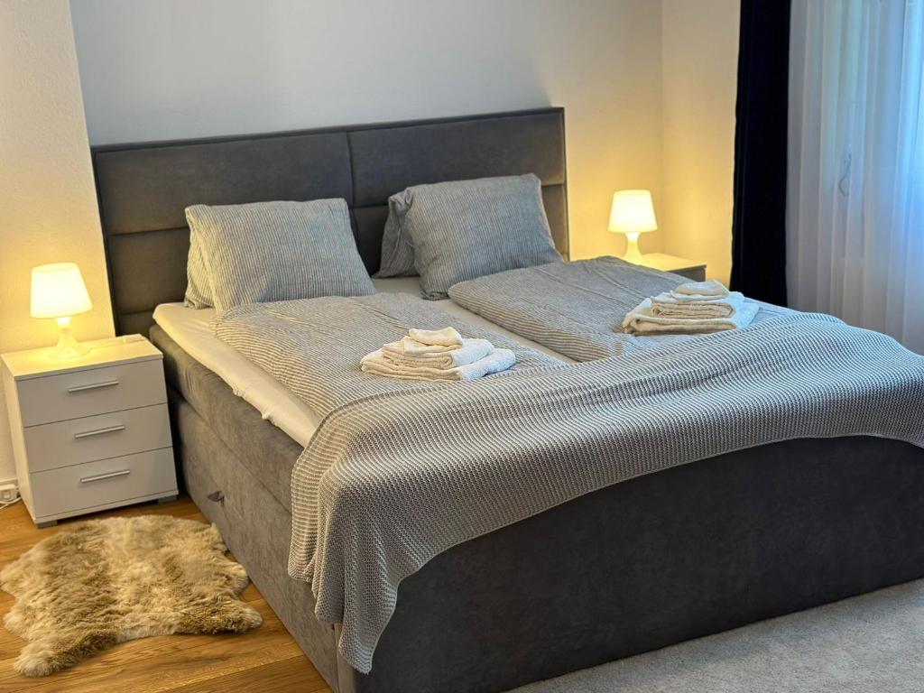 Postel nebo postele na pokoji v ubytování Alpina Appartment Kandersteg