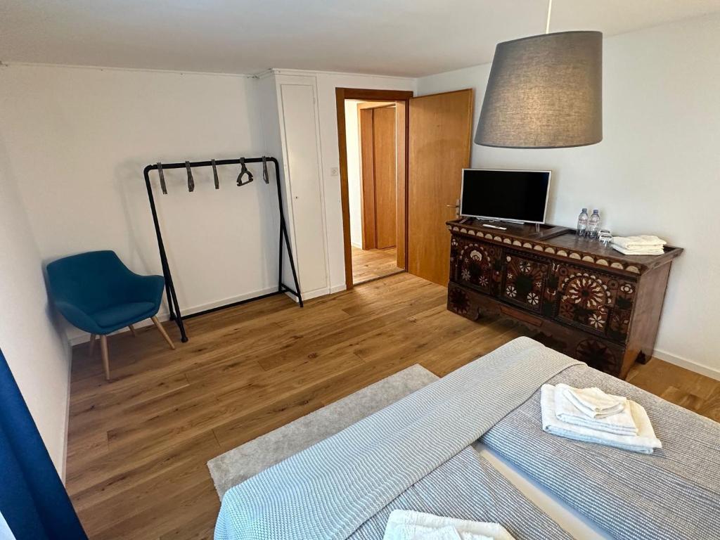 TV a/nebo společenská místnost v ubytování Alpina Appartment Kandersteg