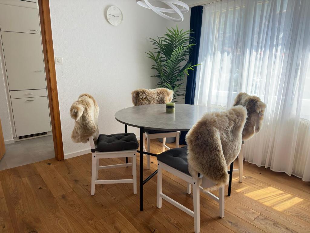 Posezení v ubytování Alpina Appartment Kandersteg