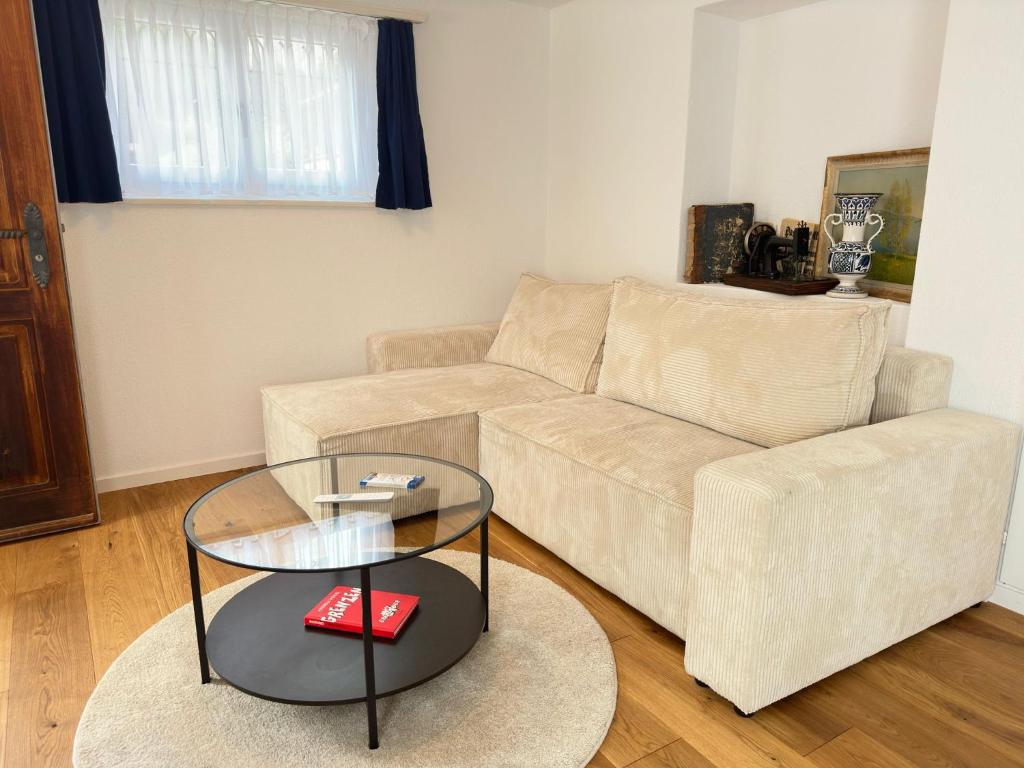 Posezení v ubytování Alpina Appartment Kandersteg