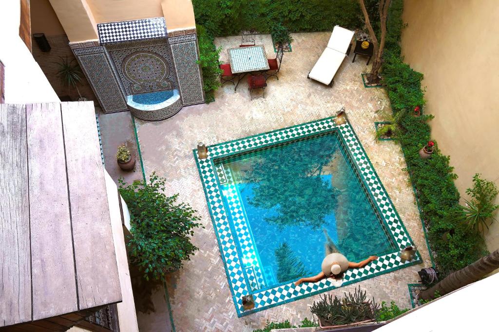 - une vue sur la piscine avec une tortue dans l'établissement Riad Dar Pierre, à Fès