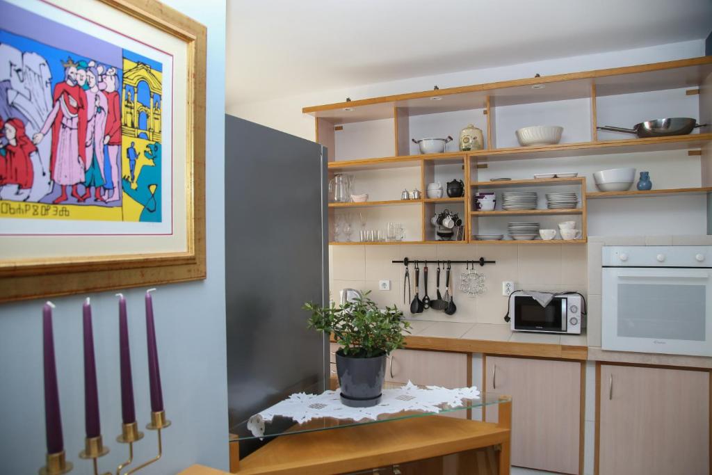 Kuchyňa alebo kuchynka v ubytovaní Lux Apartment Duje