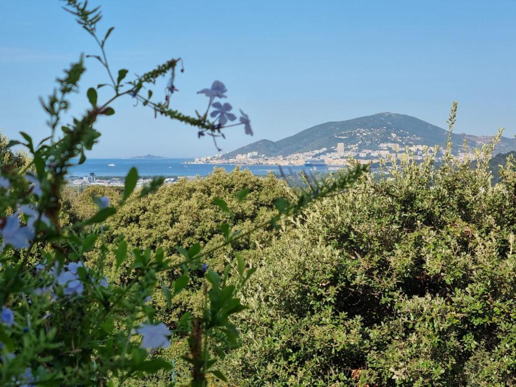 - une vue sur la plage depuis les arbres dans l'établissement Casa Mela, à Bastelicaccia