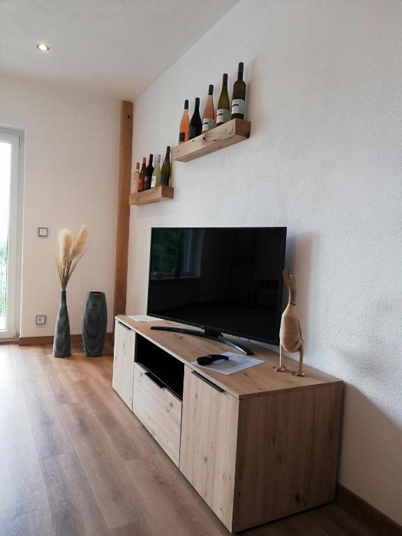 TV a/nebo společenská místnost v ubytování Ferienwohnung Entenquack