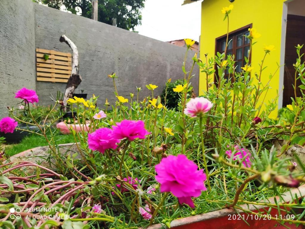 un jardin avec des fleurs roses devant un bâtiment dans l'établissement Temporada Casa dos Paiva, à Barreirinhas