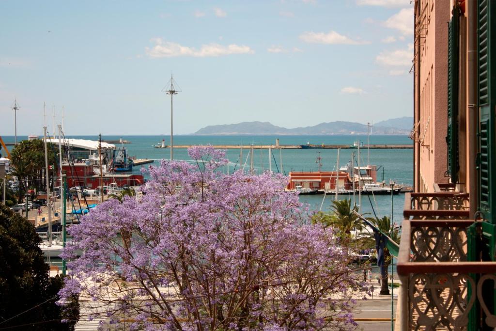 Ca' Del Sol في كالياري: شجرة مع الزهور الأرجوانية أمام المارينا