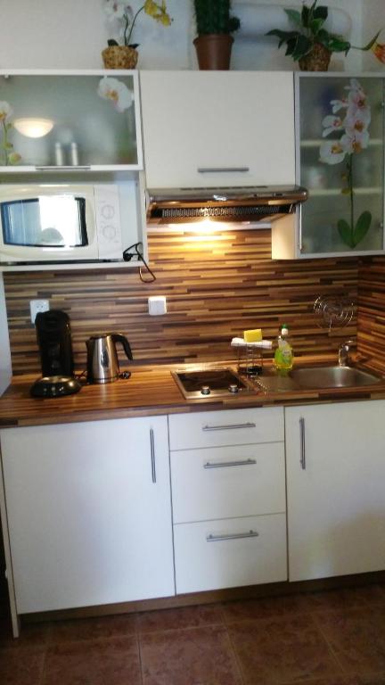 Kuchyň nebo kuchyňský kout v ubytování Apartman LEO Nr. 8 Lipno nad Vltavou