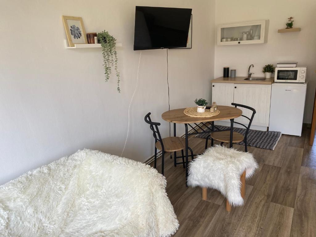 Kuchyň nebo kuchyňský kout v ubytování Apartmán v koňském areálu Židovice