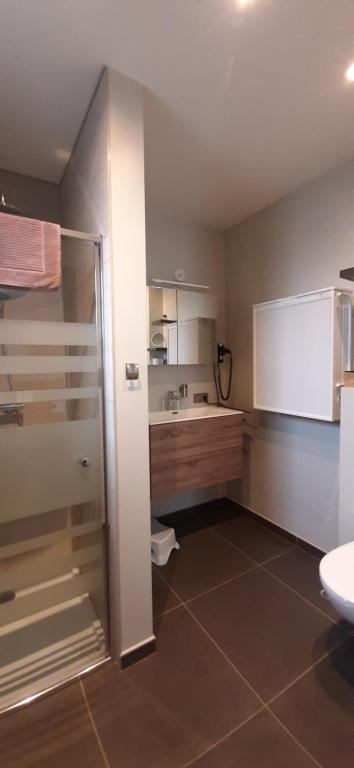 Koupelna v ubytování B & B Victors Hof, met zwemvijver in landelijke setting