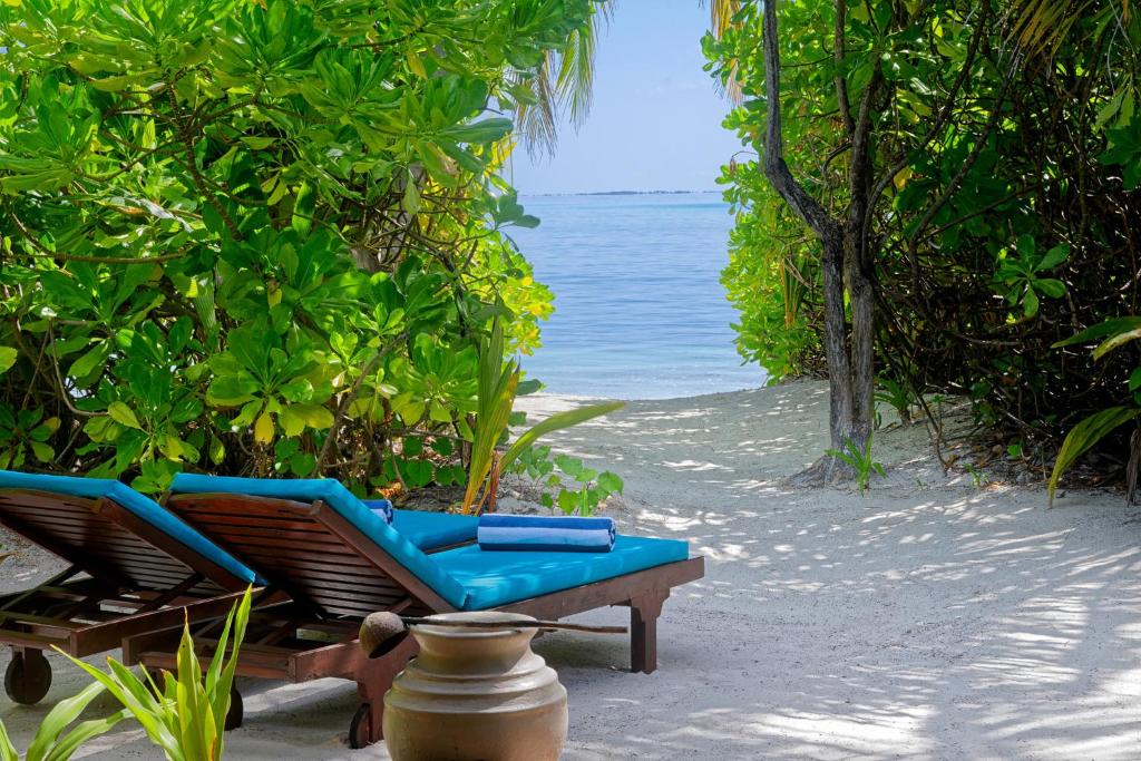 Canareef Resort Maldives - View 17