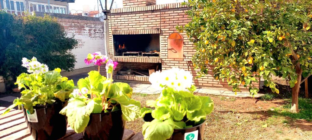dos ollas de plantas delante de un horno de ladrillo en Casa Bravo en Mendoza