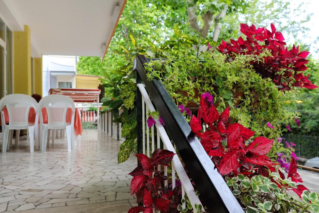 Zahrada ubytování Hotel Samoa