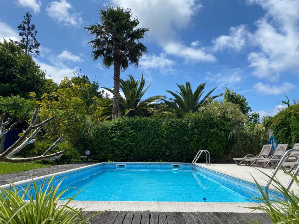 een zwembad met stoelen en een palmboom bij Quinta dos Bravos in Pico da Pedra