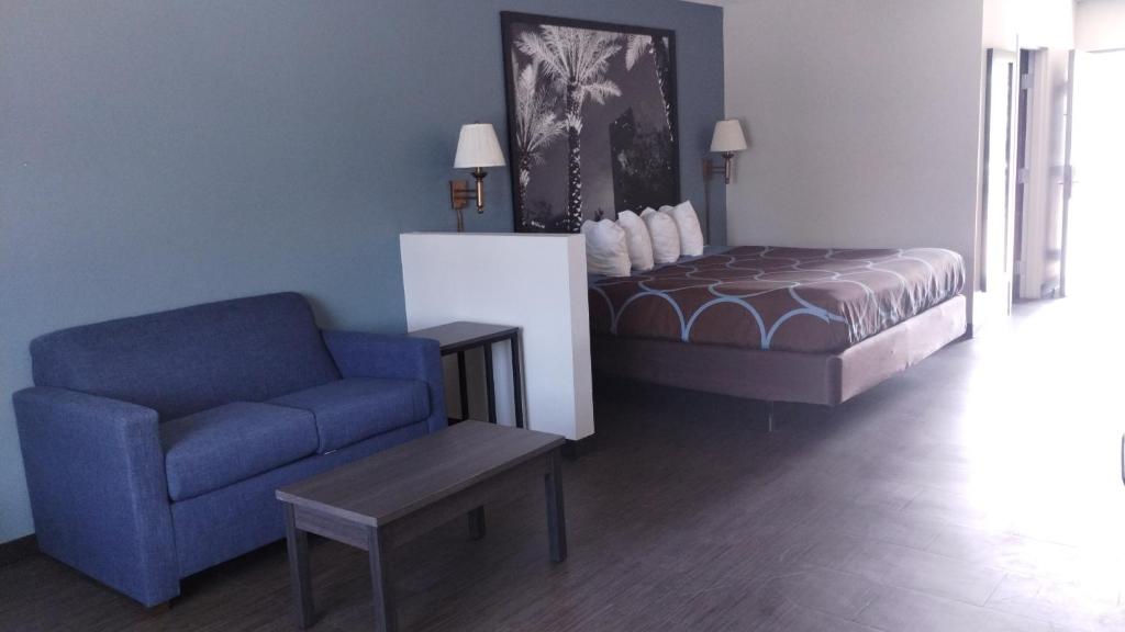 Posezení v ubytování Super 8 Motel by Wyndham near Fort Lauderdale Arpt