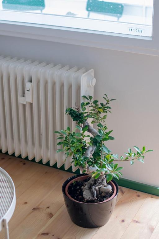 Flattering - Berlin - Resim 11