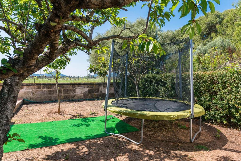 Zahrada ubytování Villa Volentina