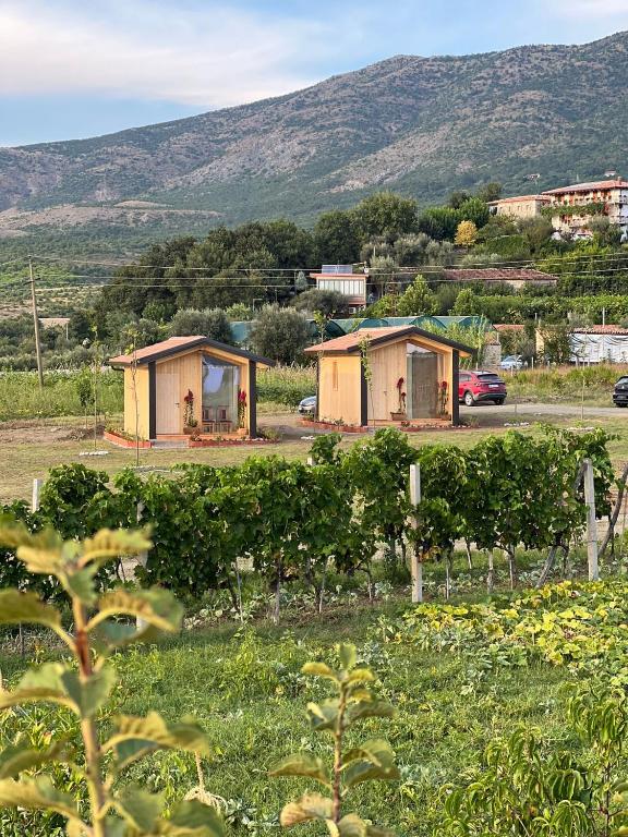 Paesaggio naturale nelle vicinanze della casa vacanze