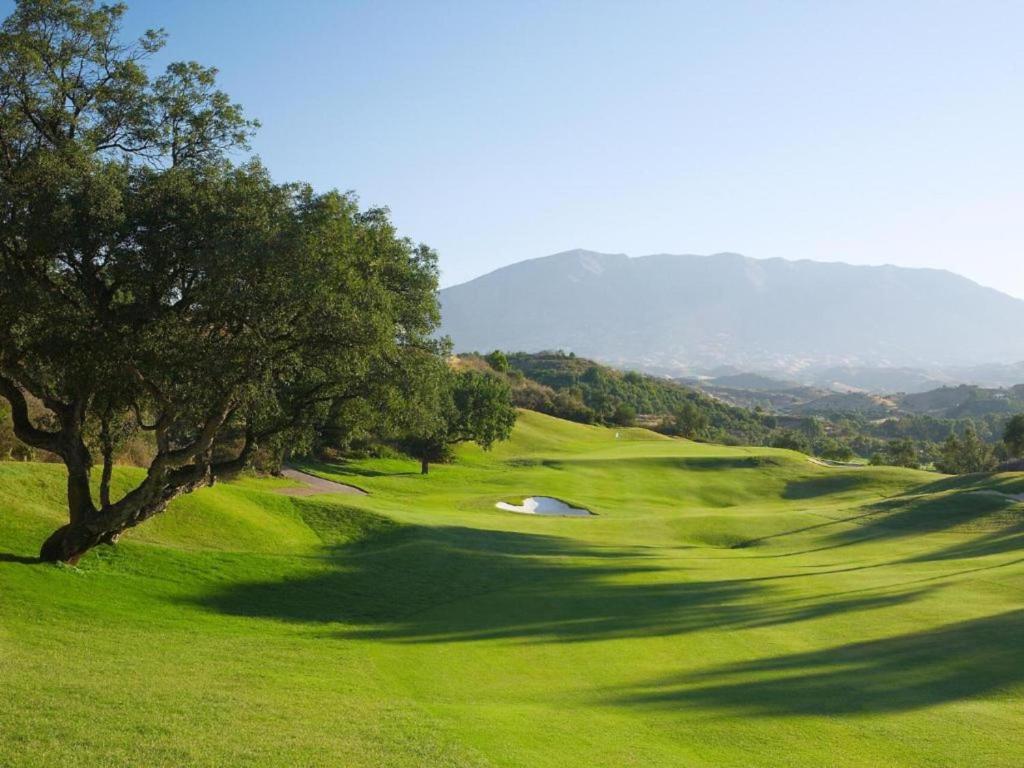 a green golf course with a tree and a hole at Luxury La Cala Golf Retreat with terrace & pool in La Cala de Mijas