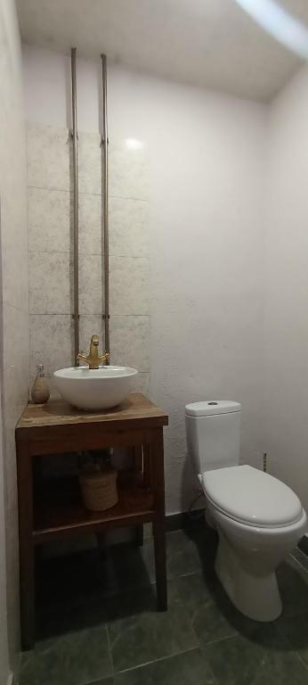 a bathroom with a toilet and a sink at Hooni_guesthouse in Odzun