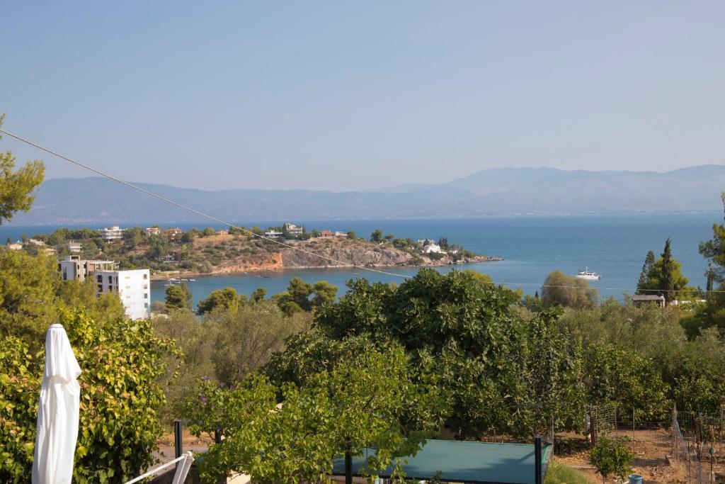 a view of the ocean from a vineyard at Seaview Resort in Chalkida