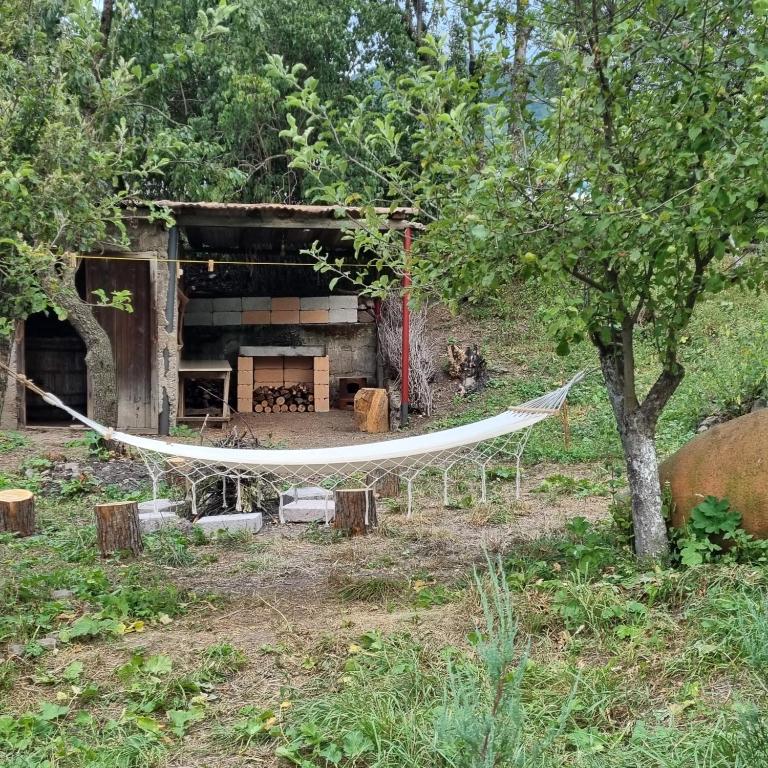 a hammock in front of a building in a field at Hooni_guesthouse in Odzun
