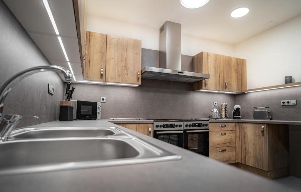 Kuchyň nebo kuchyňský kout v ubytování Apartmánový dům Sklípek